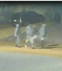 Lake Thomas burglary suspects 